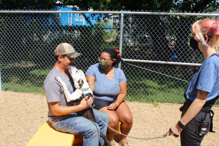 Adult dogs have their day at Lawrence Humane Society adoption event